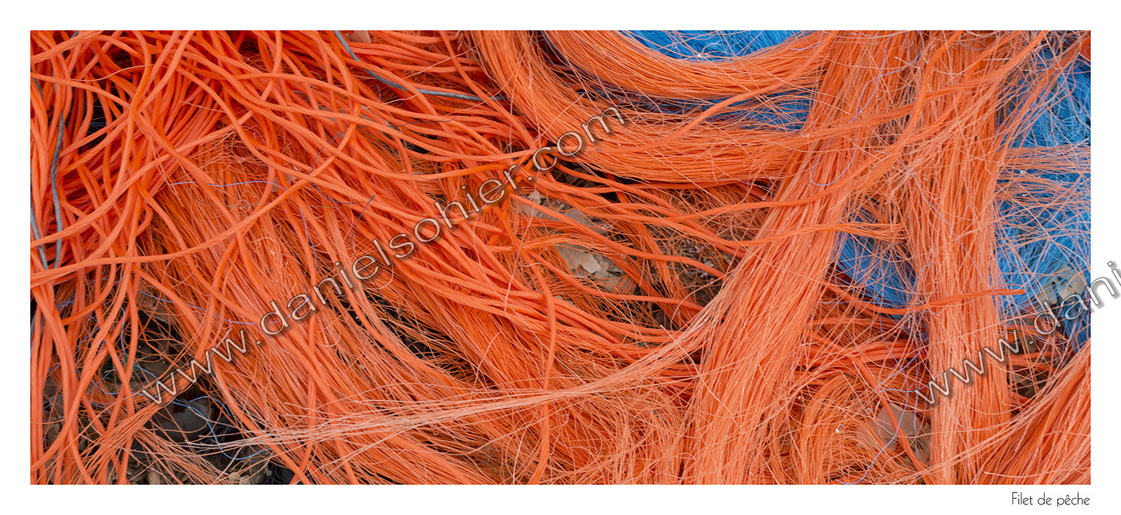 Graphisme Numérique