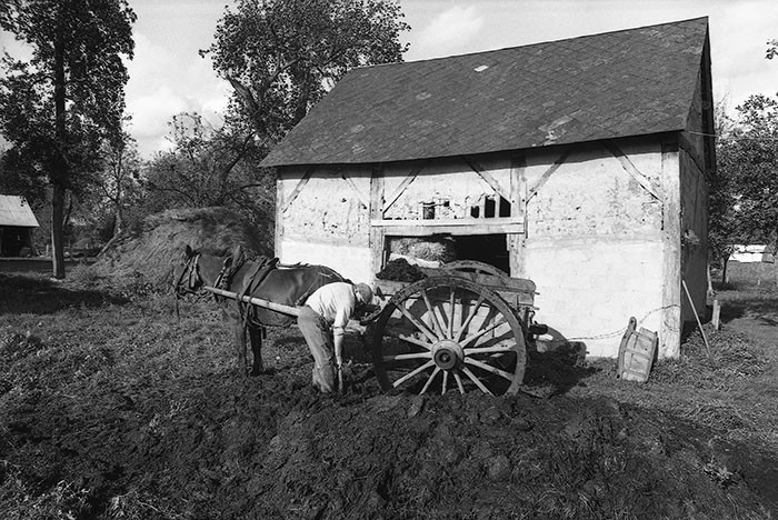 Le fumier dans l'Baniau