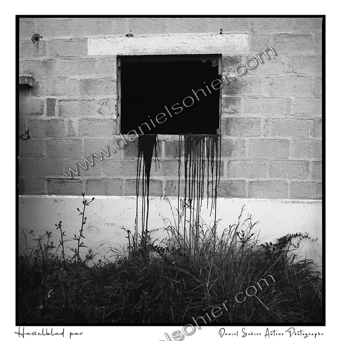 Création photographique noir et blanc argentique