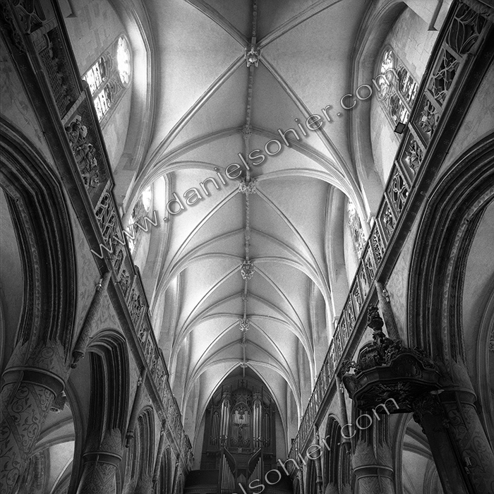 Création Noir&Blanc