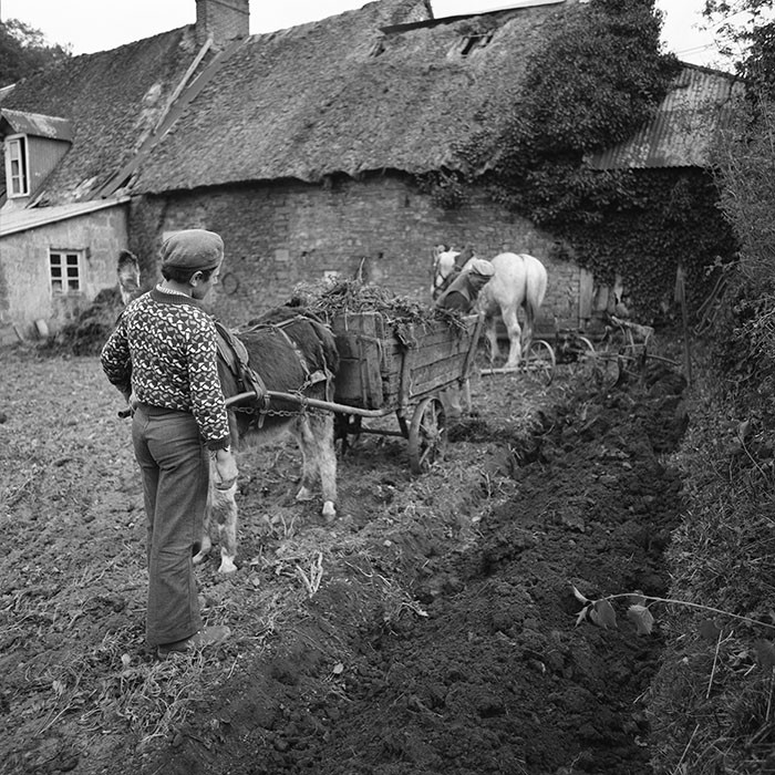 Le champ derrière la ferme
