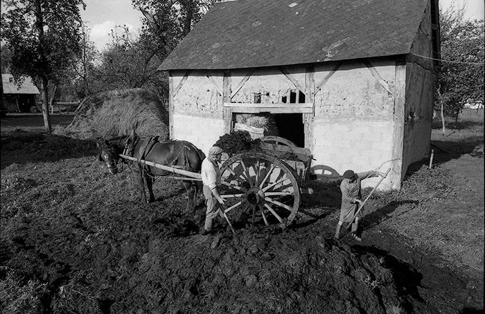 Le fumier dans l'Baniau
