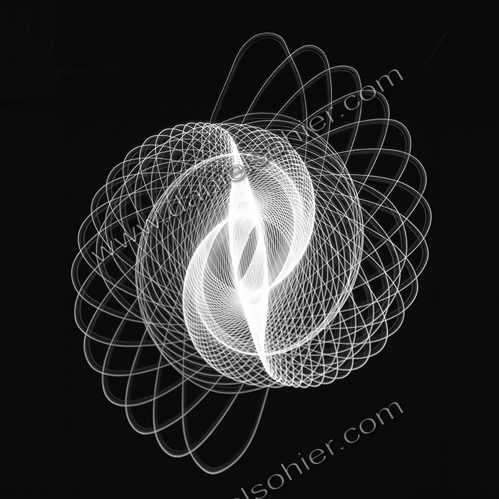 ARABESQUE - Hérisson - Orne - France 1974 - Chambre technique 9x12 argentique Photographie N° Inso 14