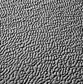 NOIR & BLANC