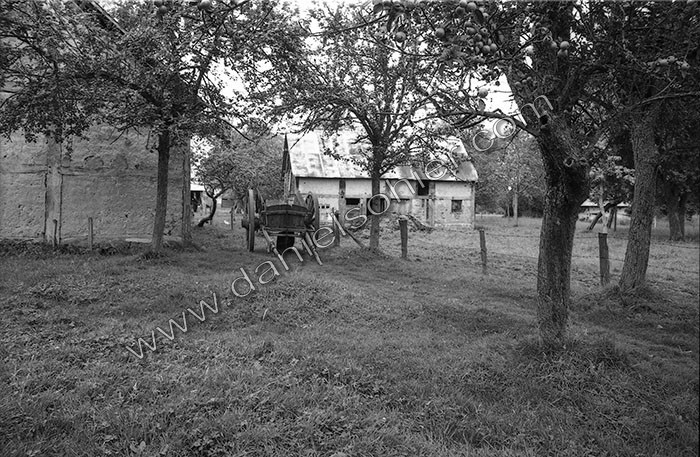 Le fumier dans l'Baniau