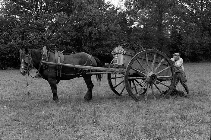 Le fumier dans l'Baniau