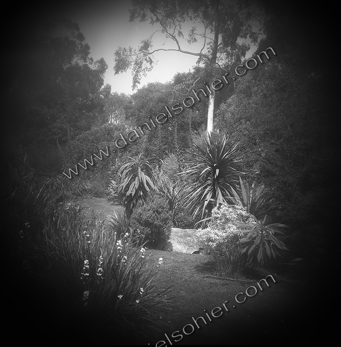 LE PARC - JARDIN FAVIER - Cherbourg en Cotentin - Manche - France 1986 - Hasselblad 6x6 argentique Photographie N° JF 10LE PARC - JARDIN FAVIER - Cherbourg en Cotentin - Manche - France 1986 - Hasselblad 6x6 argentique Photographie N° JF 14