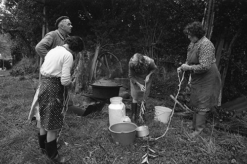 La journée du Cochon