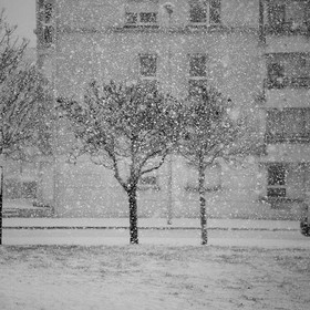 NOIR & BLANC