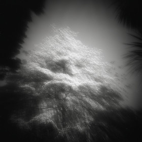 LE PARC - JARDIN FAVIER - Cherbourg en Cotentin - Manche - France 1986 - Hasselblad 6x6 argentique Photographie N° JF 12