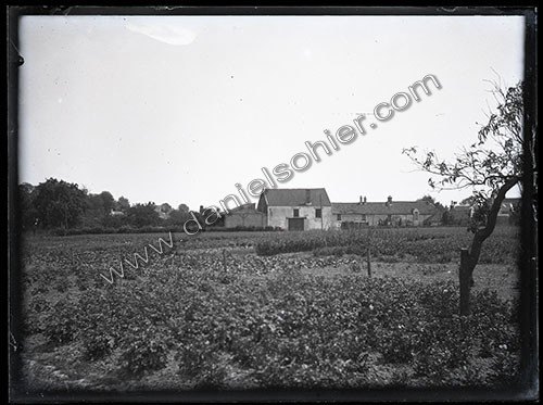 Plaques de verre 1910