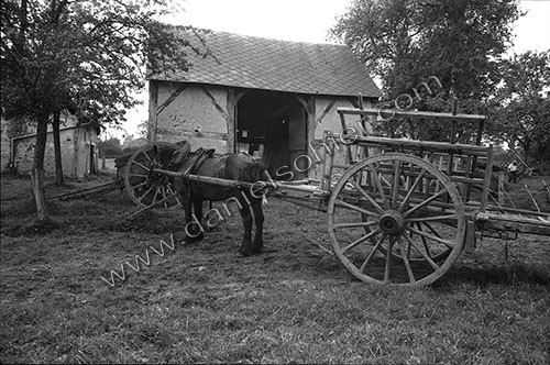 Reportage sur les foins