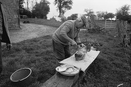 La journée du Cochon