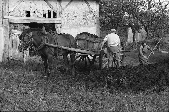 Le fumier dans l'Baniau
