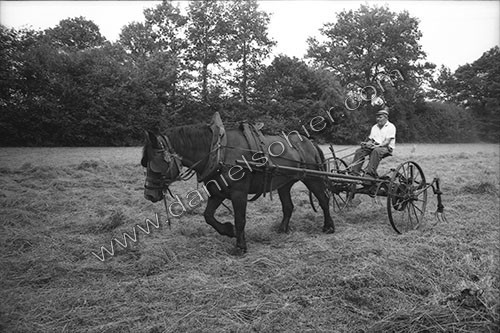 Reportage sur les foins