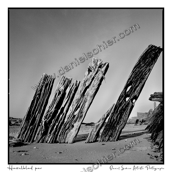 Création photographique noir et blanc argentique