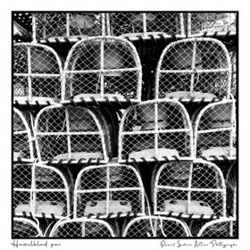 Création photographique noir et blanc argentique