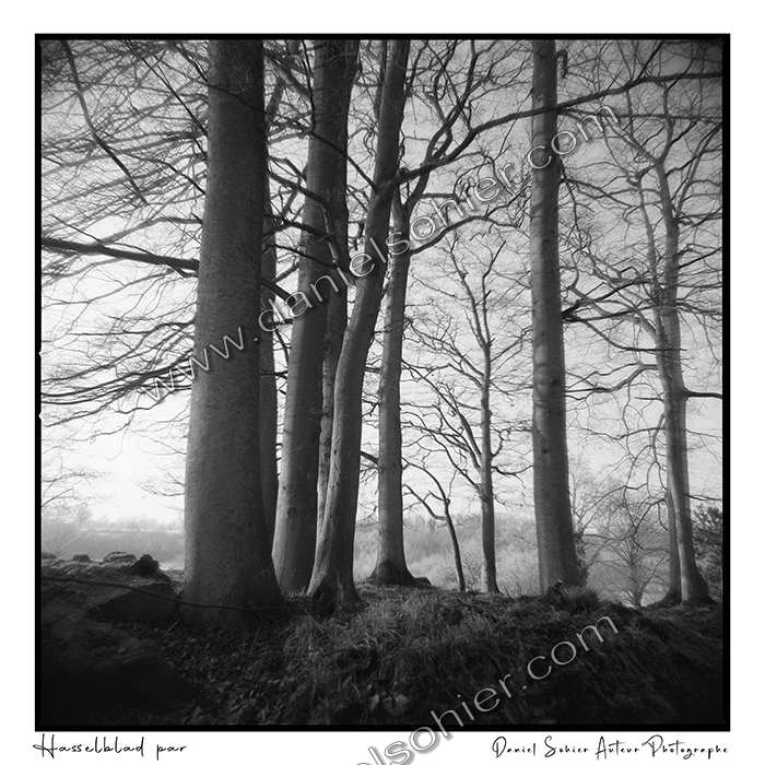 Création photographique noir et blanc argentique