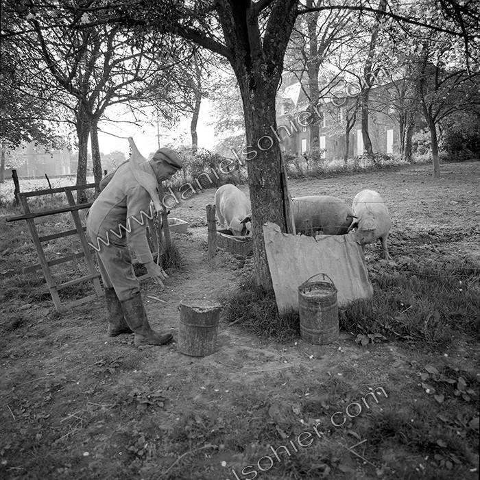 Reportage argentique