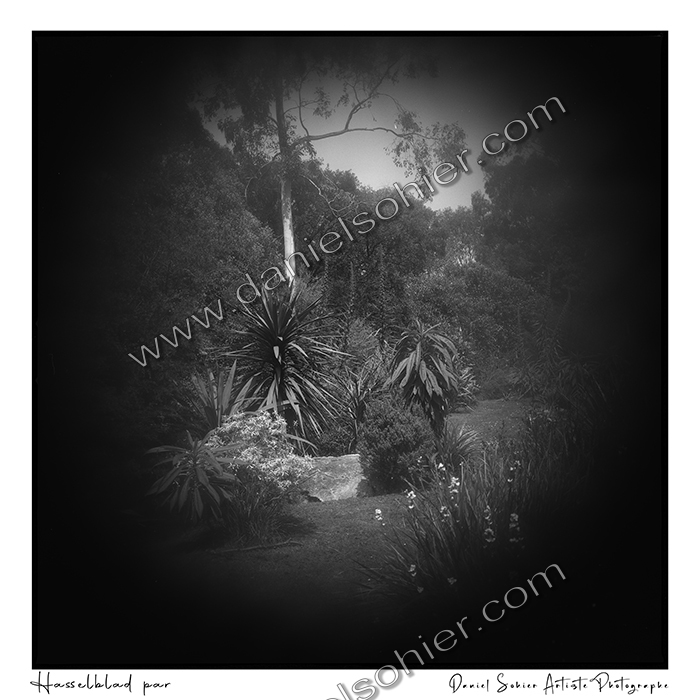 Création photographique noir et blanc argentique