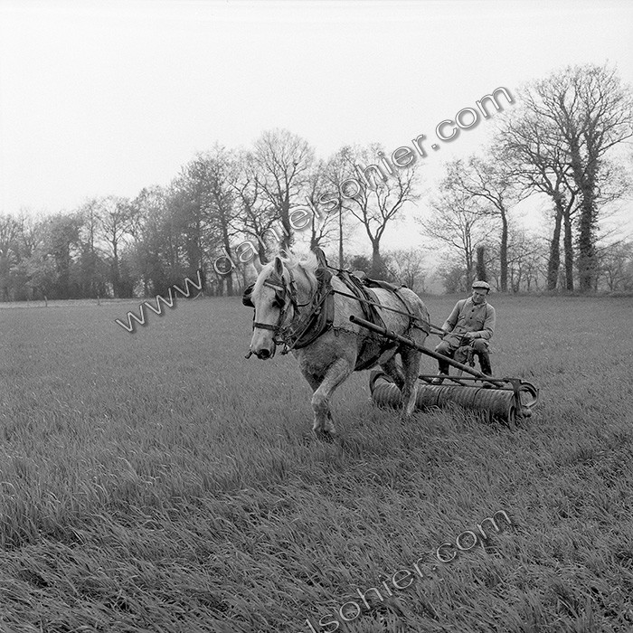 Le travail des champs