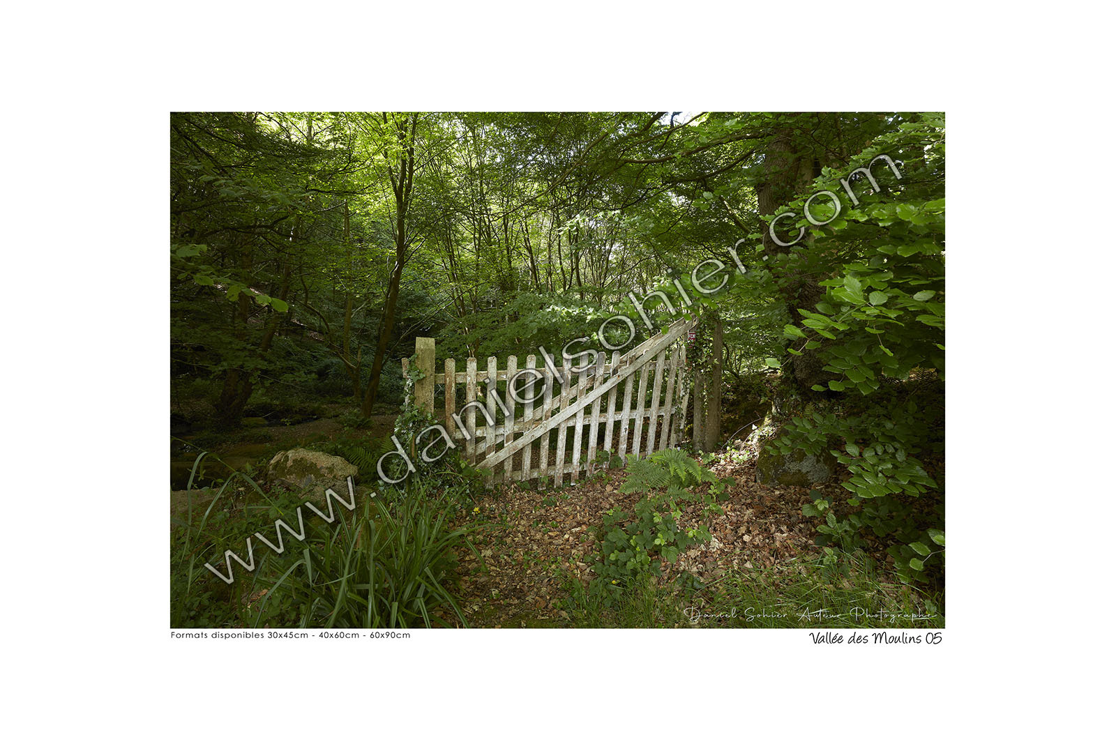 Photoggraphies de paysage