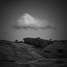 Création Noir&Blanc