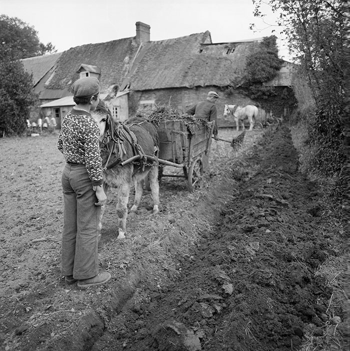 Le champ derrière la ferme