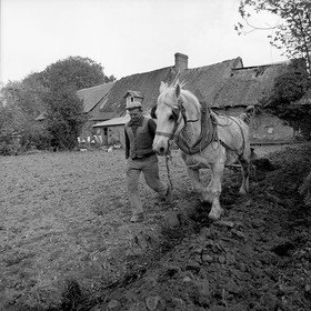 Le champ derrière la ferme