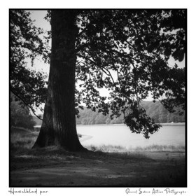 Création photographique noir et blanc argentique